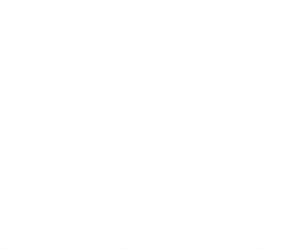 Banner-300x250px.gif